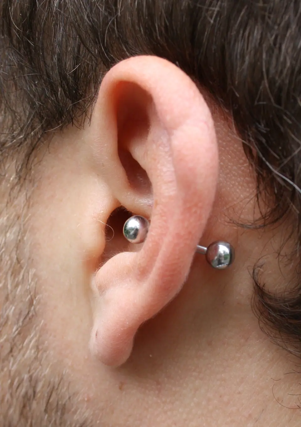 Piercing de conch con barbell en el cartílago central de la oreja