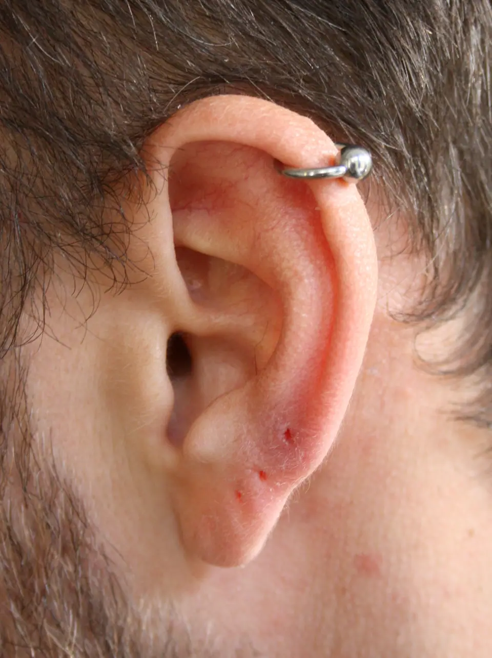 Piercing helix simple con aro en el cartílago superior de la oreja