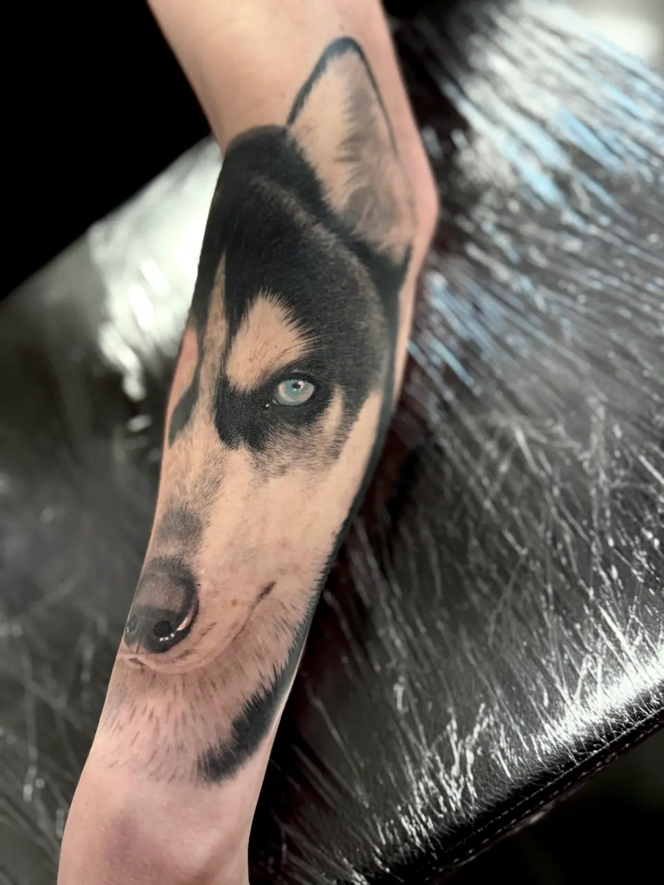 Tatuaje realista de un husky en el antebrazo