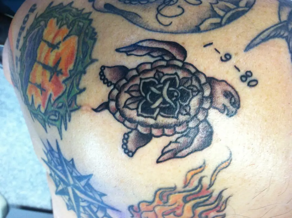 Tatuaje tradicional de tortuga marina en la espalda